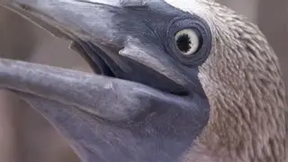 =*s鑙	.?B猀E＃C_"誤萏?]蹼?3b`蒸?胇玪%tP灝?沨劣V鄆彃鄀??漰彫屫'??xf厐亮鈸-a樨B誯?vz瀿3喤)鰲?妩3?荰?S*N??6N?u=a?8?\%须Z仛遰?5段r?╙!选j鵛i2@??揚@[仗-lpl 英雄联盟